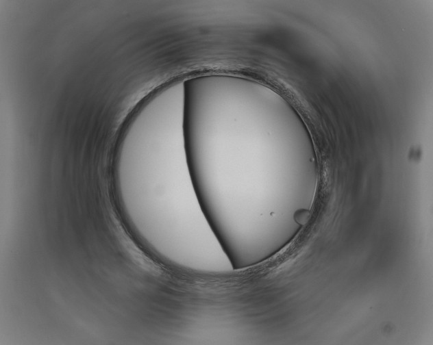 X0000093140725200709261057