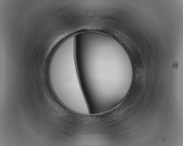 X0000093140727200709261057