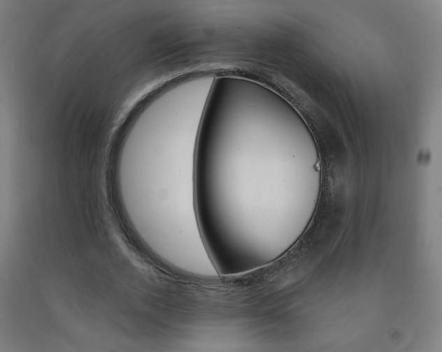 X0000093140728200709261057