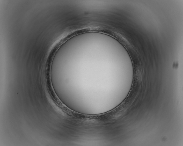 X0000093140730200709261057