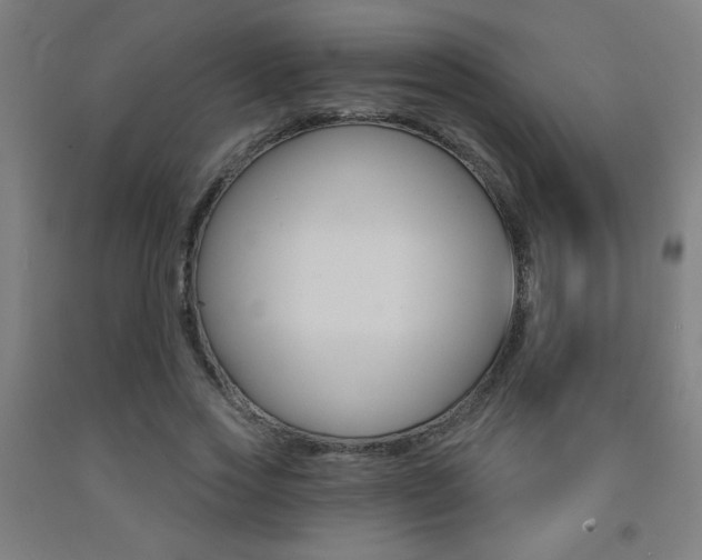 X0000093140733200709261057