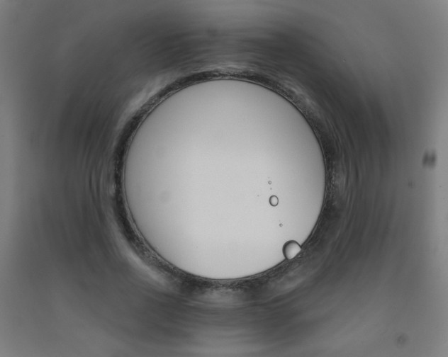 X0000093140734200709261057