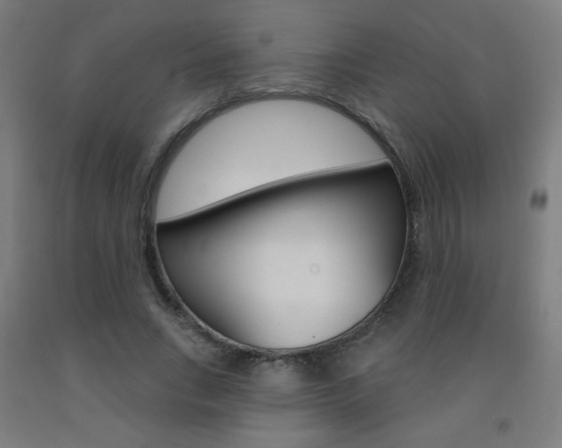 X0000093140735200709261057