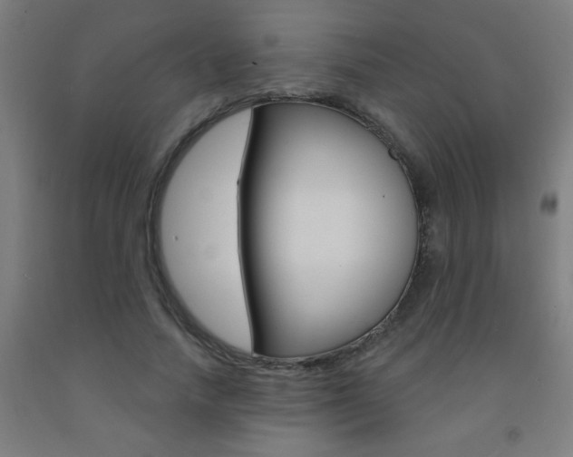 X0000093140738200709261057