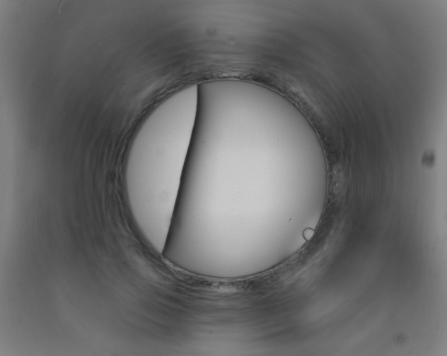 X0000093140741200709261058