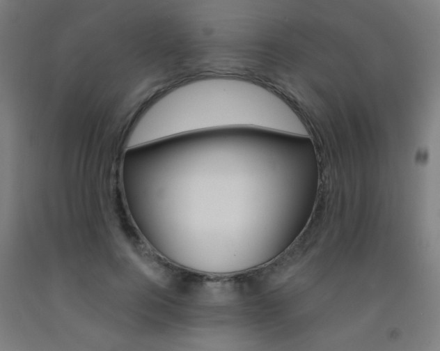 X0000093140744200709261058