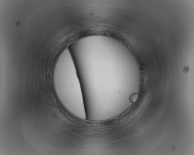 X0000093140745200709261058
