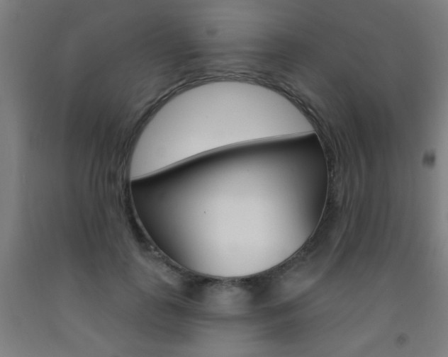 X0000093140747200709261058