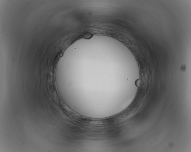 X0000093140749200709261058