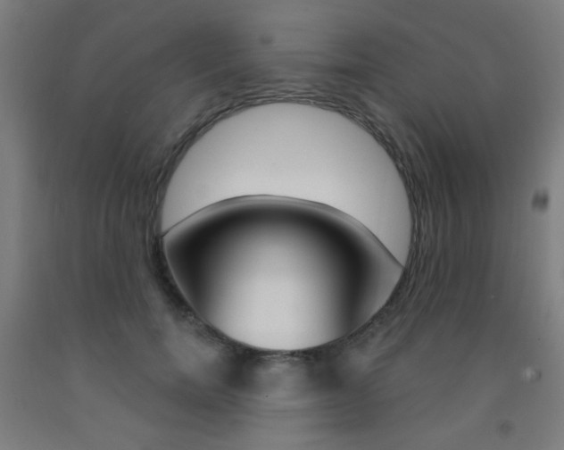X0000093140750200709261058