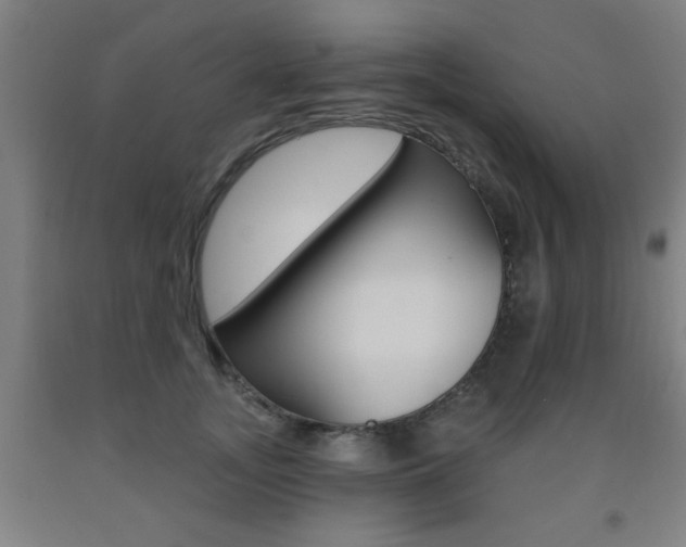 X0000093140755200709261058