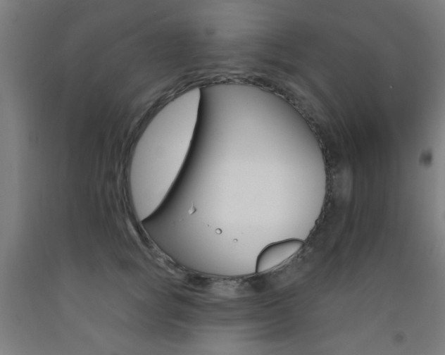 X0000093140757200709261058