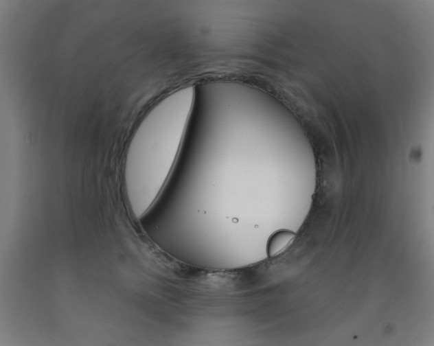 X0000093140758200709261058