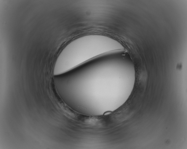 X0000093140759200709261058