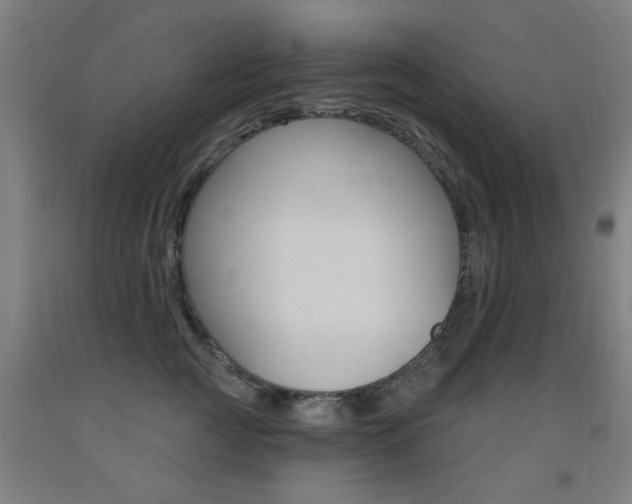 X0000093140761200709261058