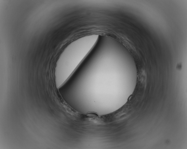 X0000093140763200709261058