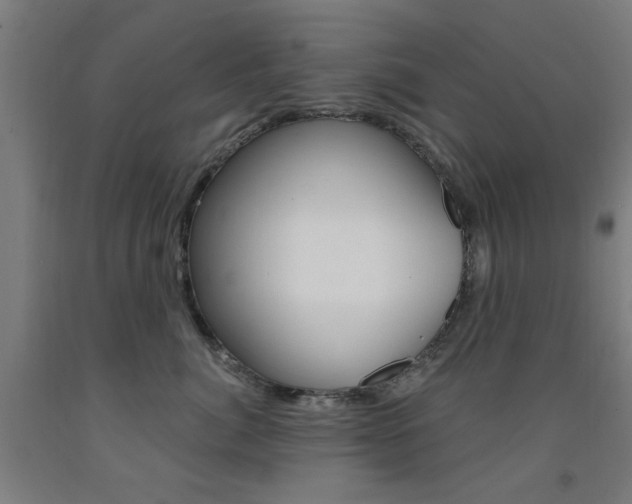 X0000093140764200709261058