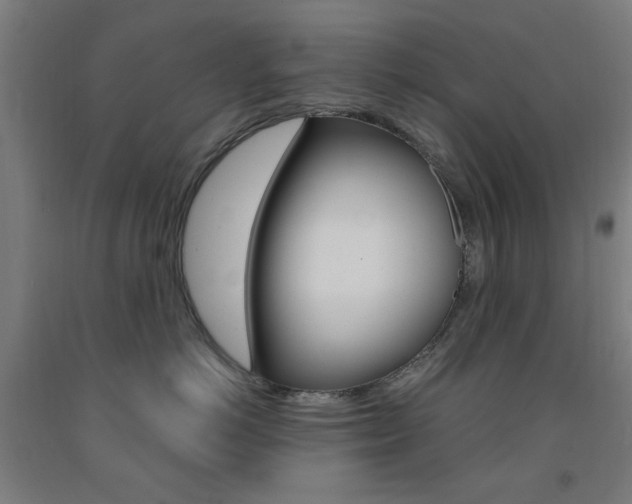 X0000093140766200709261058