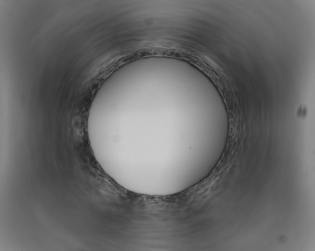 X0000093140774200709261057