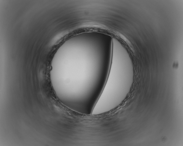 X0000093140775200709261057