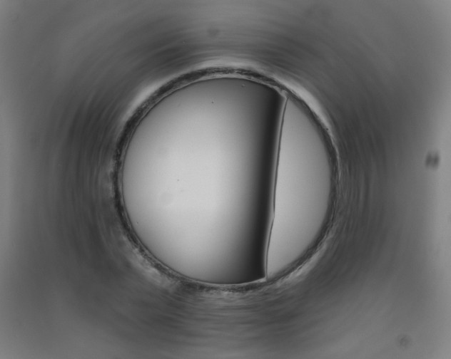 X0000093140783200709261057