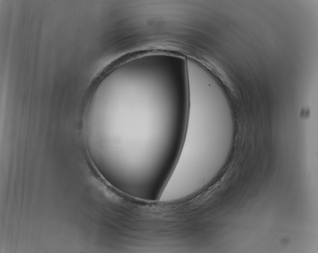 X0000093140784200709261057