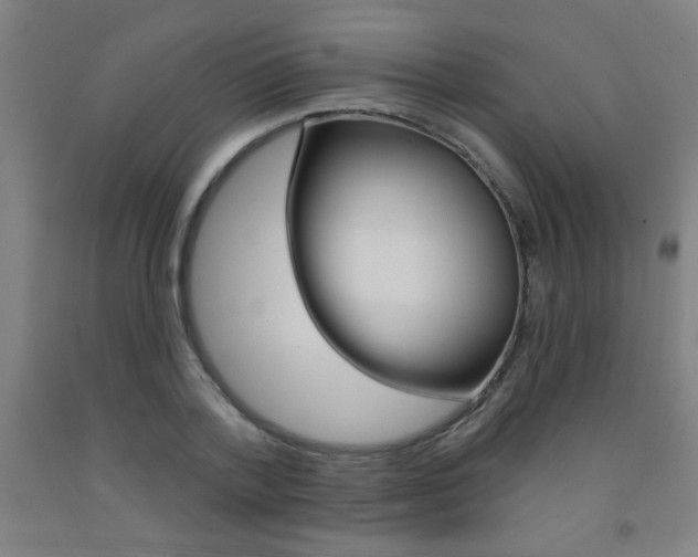 X0000093140788200709261057