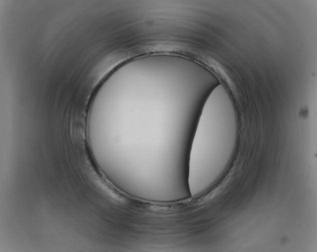 X0000093140794200709261057