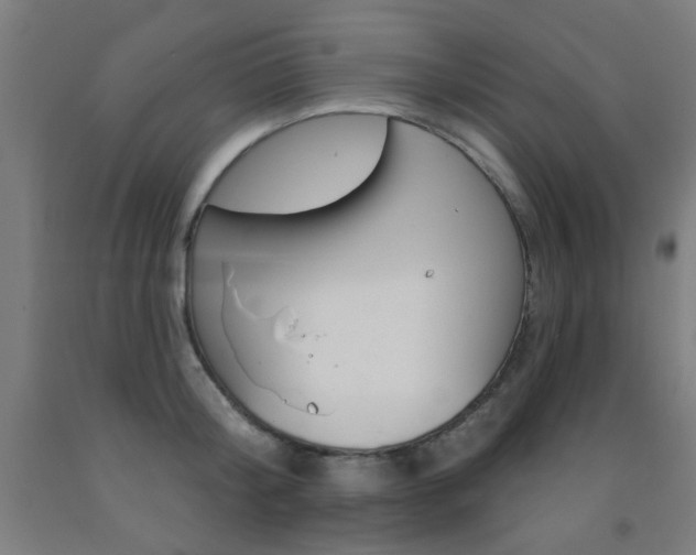 X0000093140804200709261057