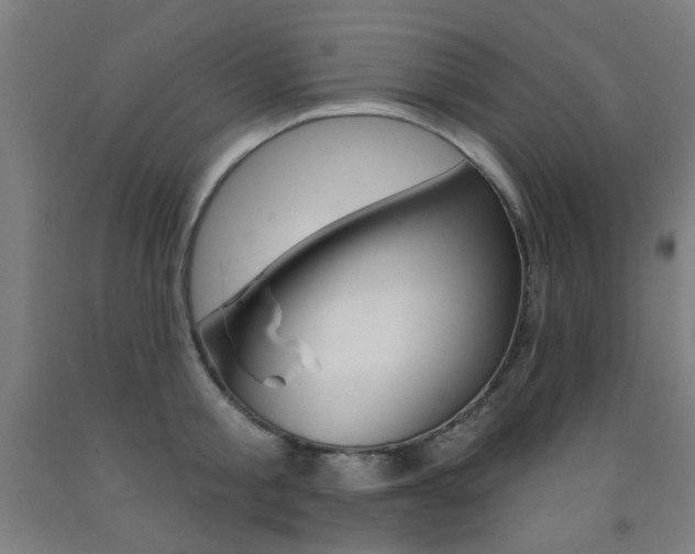 X0000093140805200709261057