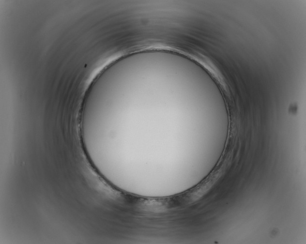 X0000093140806200709261057