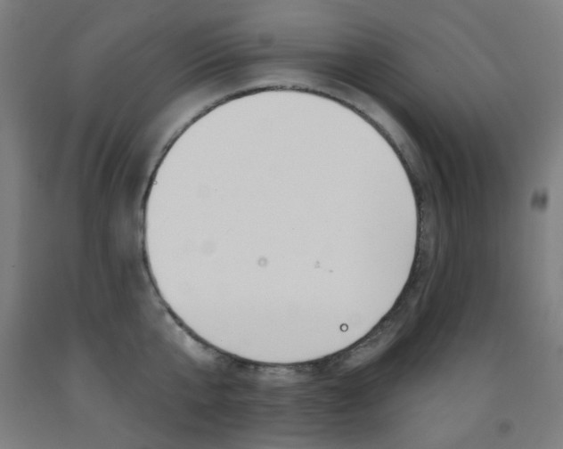 X0000093140807200709261057