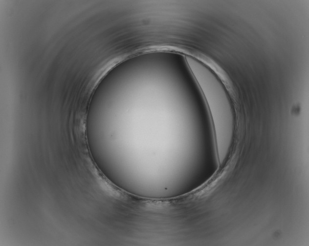X0000093140809200709261057