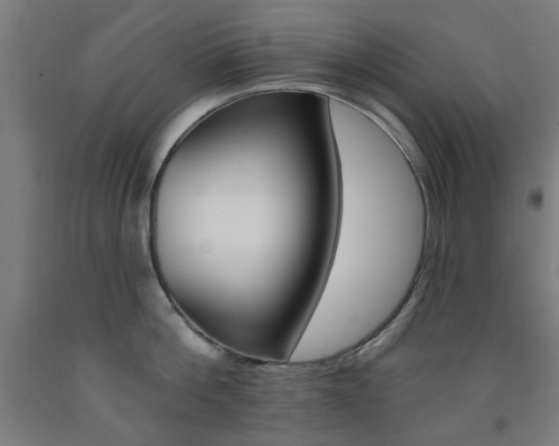 X0000093140812200709261057