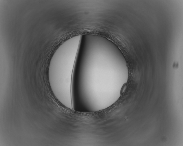 X0000093140817200709261056