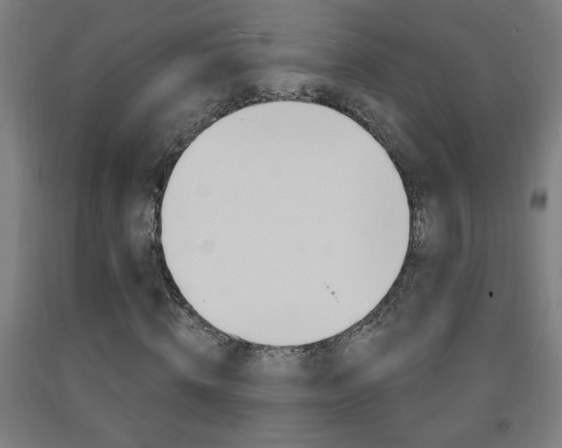 X0000093140820200709261056