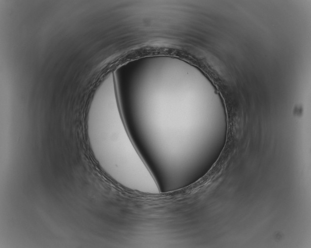 X0000093140821200709261056
