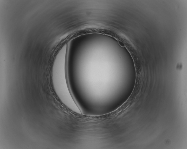 X0000093140822200709261056