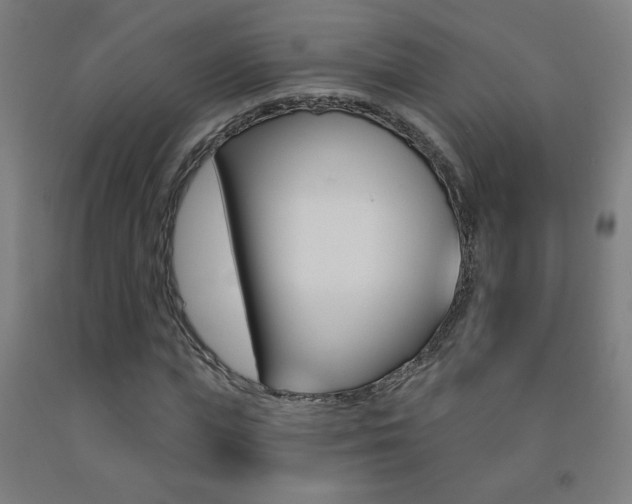 X0000093140823200709261056