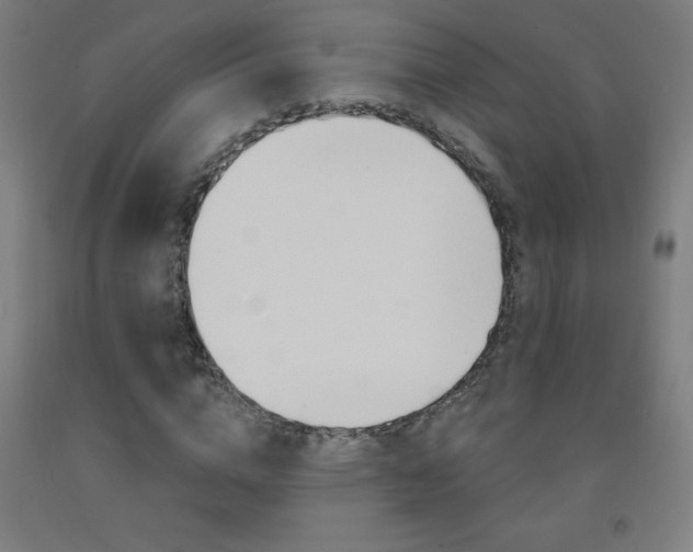 X0000093140824200709261056