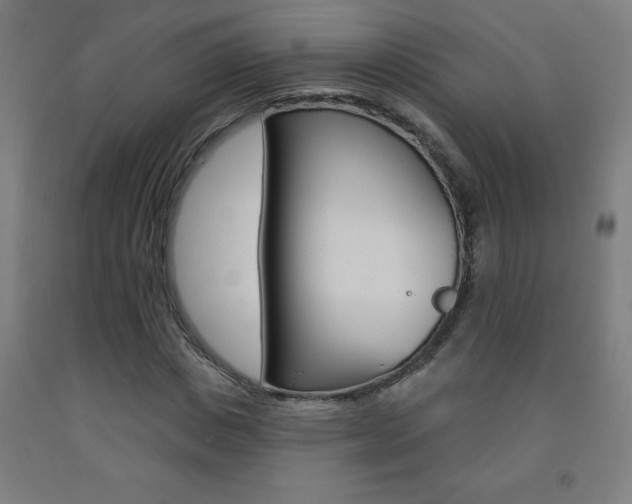 X0000093140825200709261056