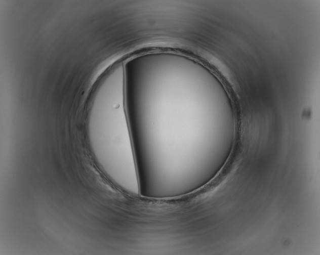 X0000093140829200709261056