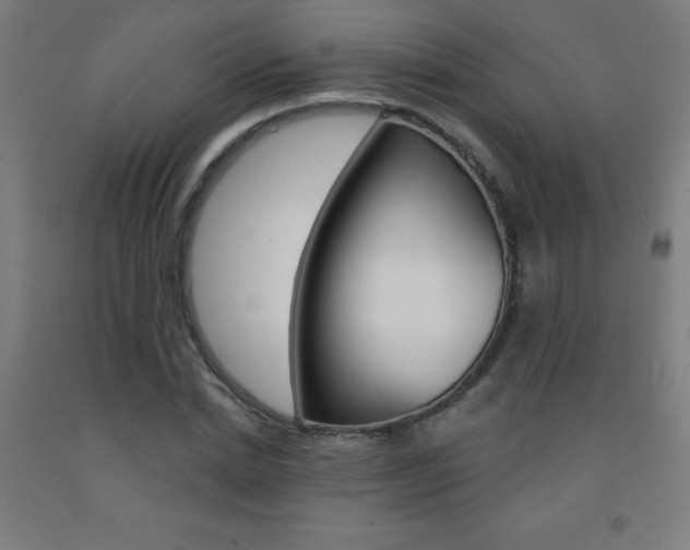 X0000093140830200709261056
