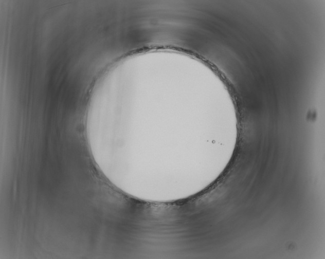 X0000093140832200709261056