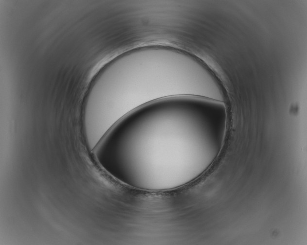 X0000093140834200709261056