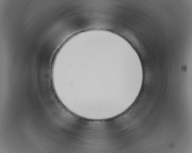 X0000093140836200709261056