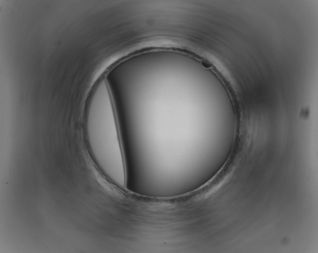 X0000093140837200709261056