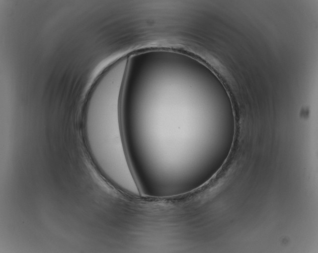 X0000093140838200709261056
