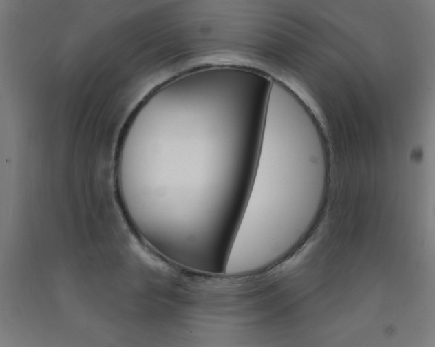 X0000093140845200709261056