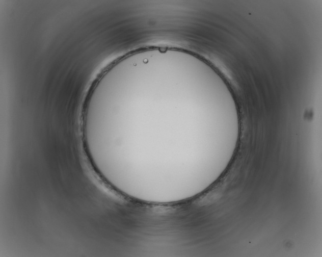 X0000093140848200709261056